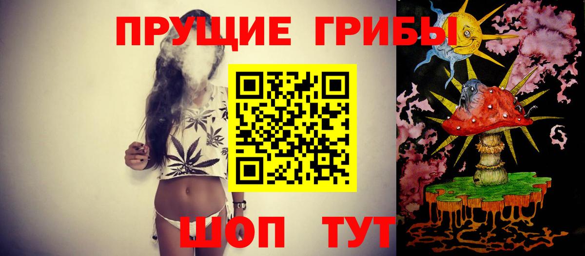 Галлюциногенные грибы Cubensis  Вход с VPN  Рассказово 